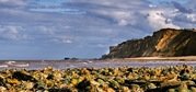 Peter Osborne - Cromer from Runton